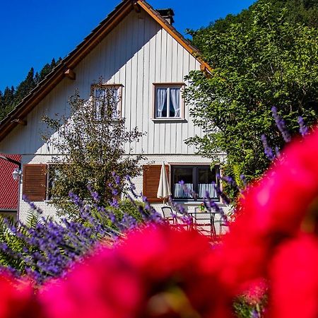 Haus Niedermaettle Apartman Oppenau Kültér fotó