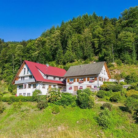 Haus Niedermaettle Apartman Oppenau Kültér fotó