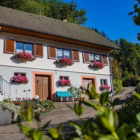 Haus Niedermaettle Apartman Oppenau Kültér fotó