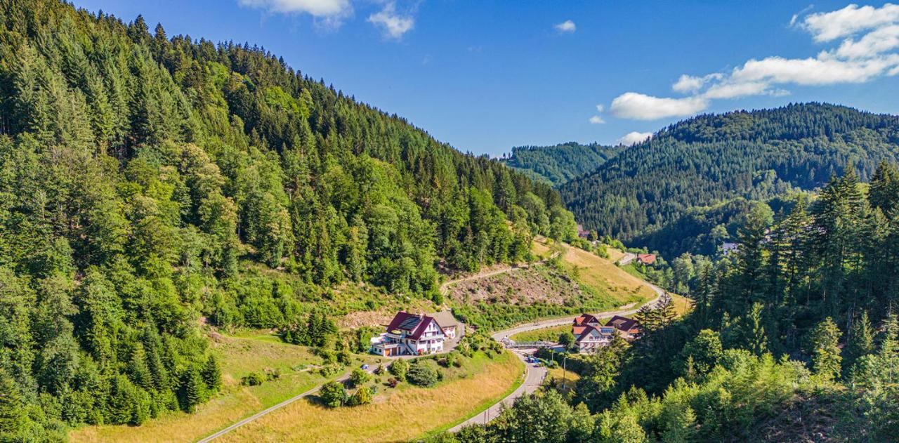 Haus Niedermaettle Apartman Oppenau Kültér fotó