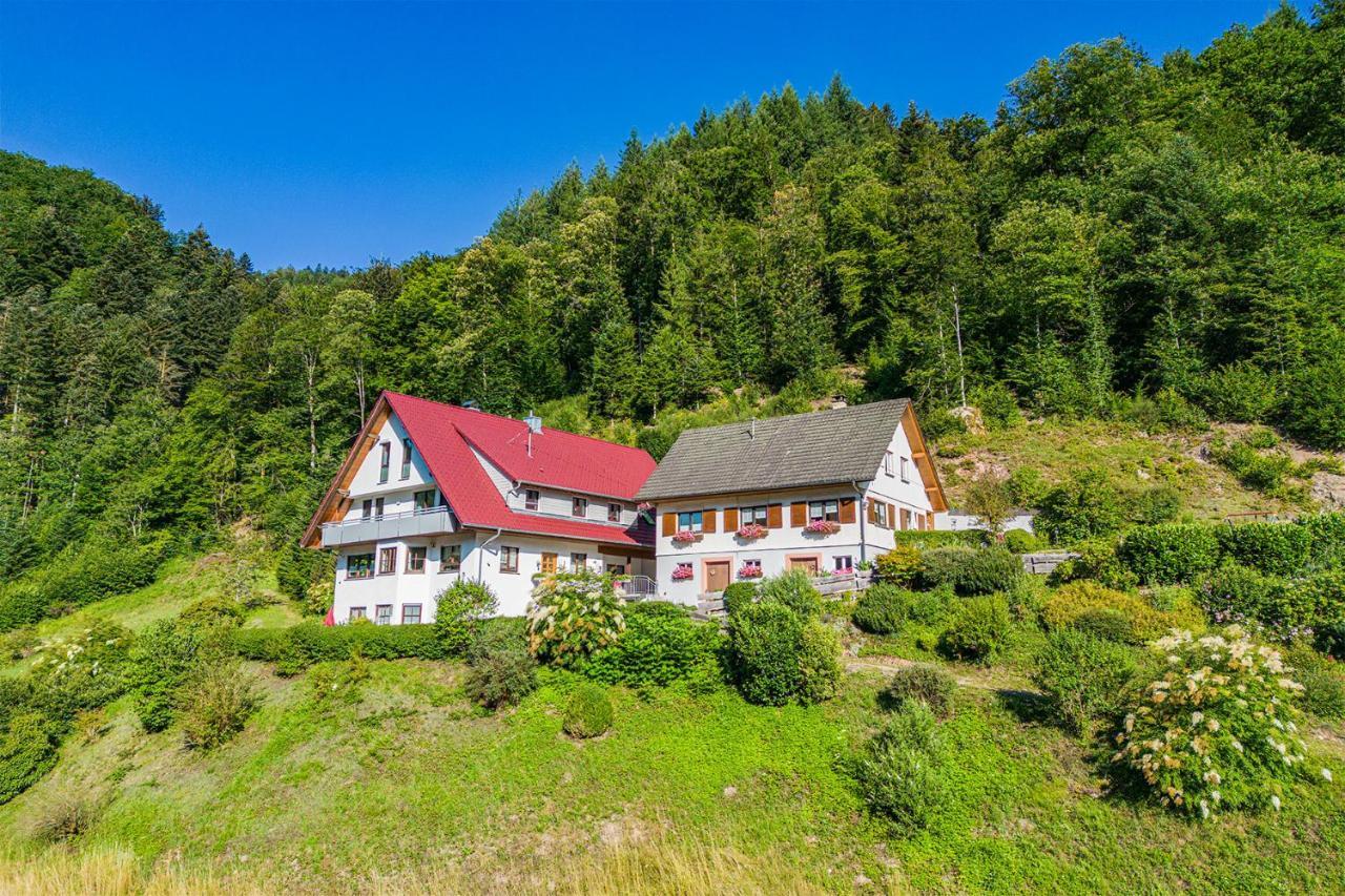 Haus Niedermaettle Apartman Oppenau Kültér fotó