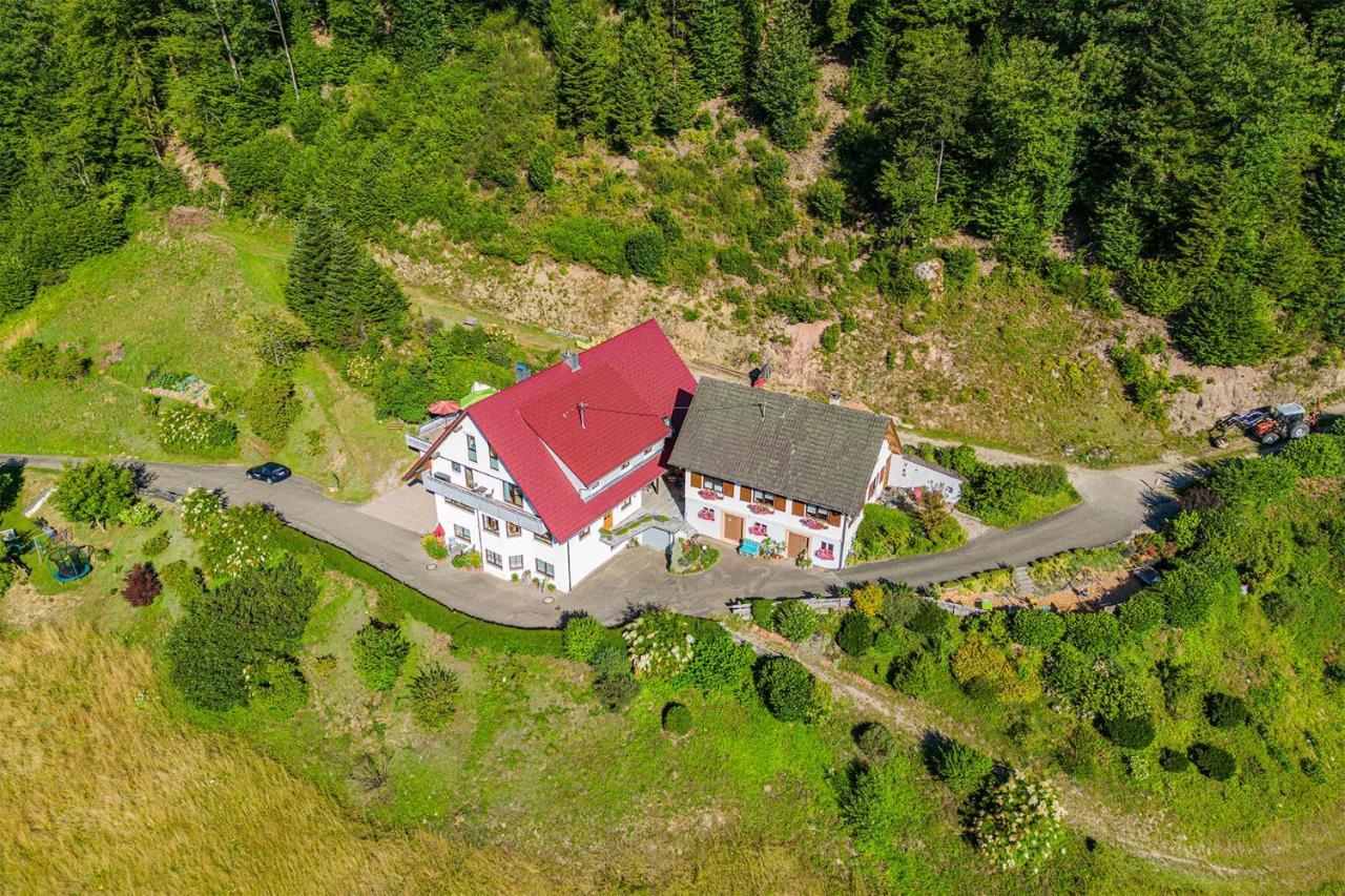 Haus Niedermaettle Apartman Oppenau Kültér fotó