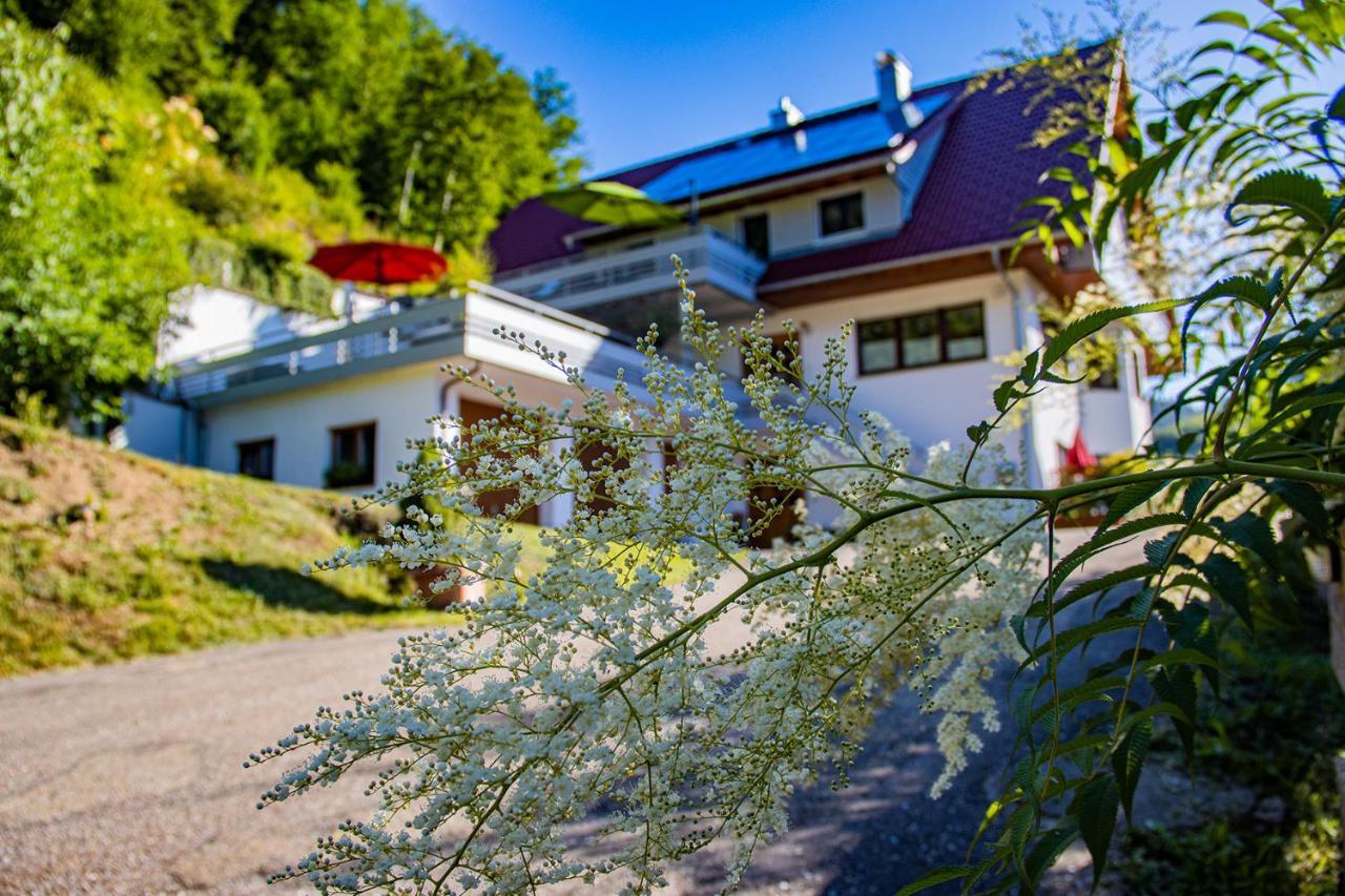Haus Niedermaettle Apartman Oppenau Kültér fotó